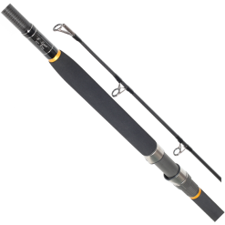 Free Spirit E-Sport Rod 10ft 100-300g Casting Weight