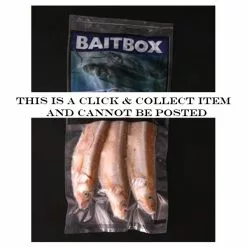 Bait Box Large 6.5ins-7.5ins Smelt