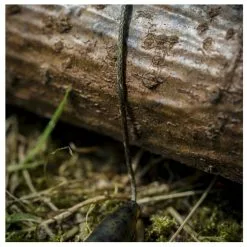 Avid Carp Pindown Unleaded Leader 50lb 10m -Rods Sales 2023 18681 600 2