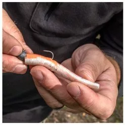 Korum Snapper Buoyant Squirmz 7.5cm 9 Korum Snapper Buoyant Squirmz 7.5cm -Rods Sales 2023 21314 600 scenic